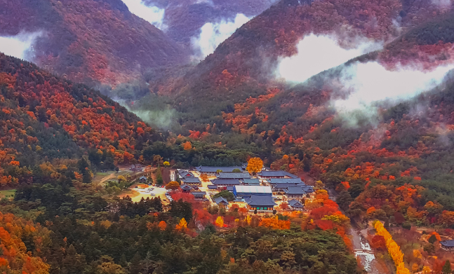 경북 청도 여행